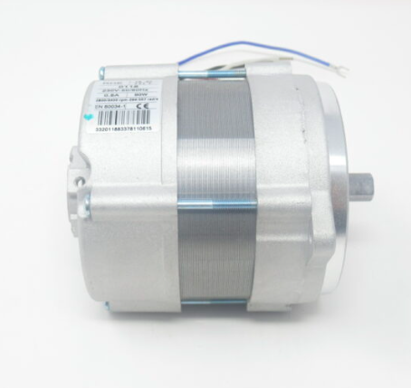 Riello 3008451 G5/G10 Burner Motor