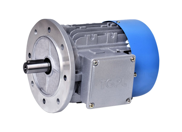 TGPL MOTOR : TMJ80 B4 B14