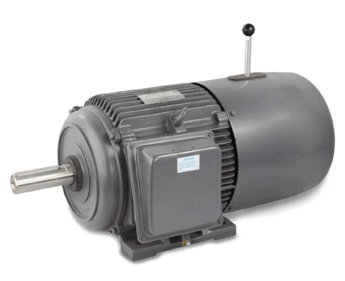 213373 LHP Induction Motor with Brake