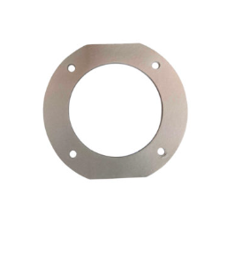 [3005813] Riello 3005813 G20 Burner Flange Gasket