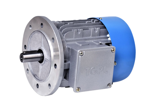 TGPL Motor : TM90 S4 B14