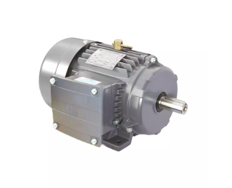 [TTS-BM-0.37Kw/0.5HP] LHP 3 Phase 0.5 HP 4 Pole Foot Mounted Induction Motor